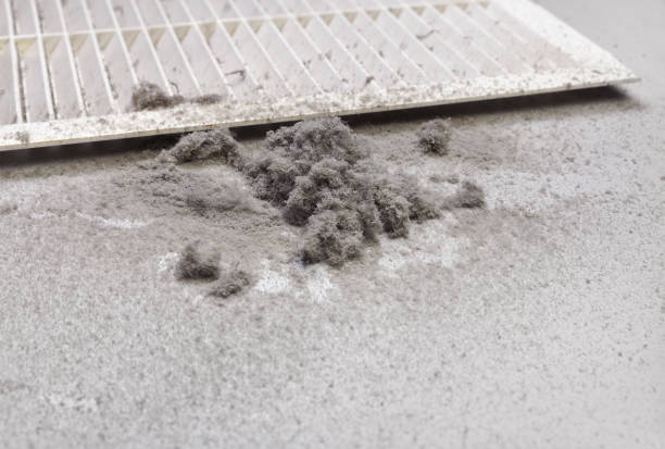 Best Emergency Air Duct Cleaning  in San Juan Pistrano, CA